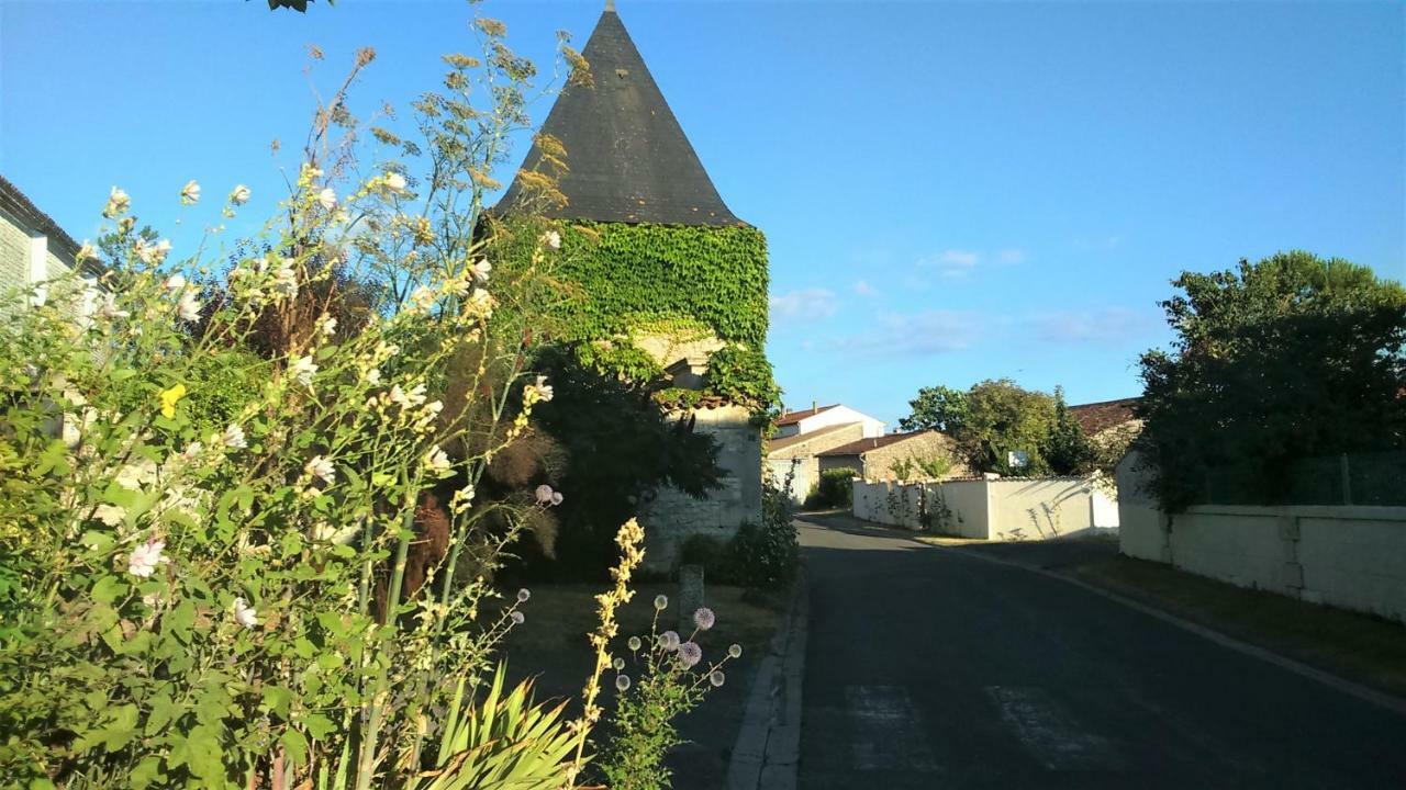 Saint-Seurin-de-Palenne Les Gites Du Vigneron Et Cd'H מראה חיצוני תמונה